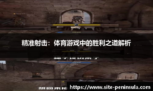 半岛体育