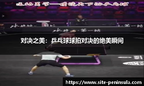 对决之美：乒乓球球拍对决的绝美瞬间